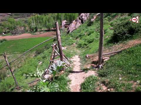 Видео: Village Khuf of Tajikistan, Badakhshan.Derdeh-Nature-1 25-05-25 / Природа Таджикистан, Бадахшан Хуф.