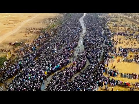 Видео: Вот Почему Техас Становится Самым Могущественным Штатом Америки