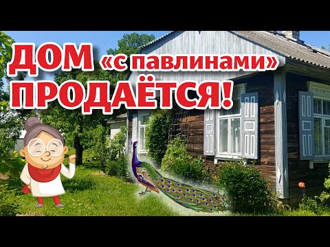 Видео: Налетай! ПОДЕШЕВЕЛО! Дома всё ещё ПРОДАЮТСЯ!