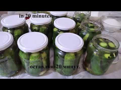 Видео: В этом году закрою побольше!  ЛУЧШИЙ рецепт огурцов на зиму! Разлетаются на УРА!