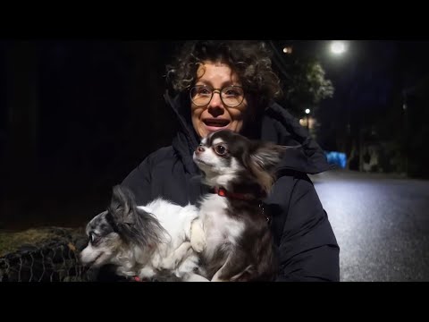 Видео: ЭТО БЫЛ БЕЗУМНЫЙ ДЕНЬ ...