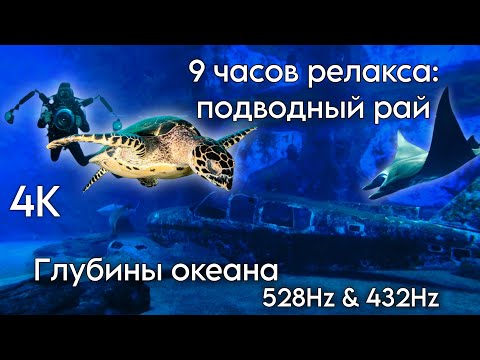 Видео: Глубины океана 4K — 9 часов релакса подводный рай, 528Hz & 432Hz