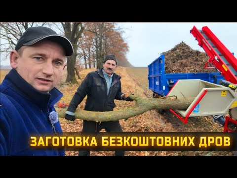 Видео: 🇺🇦Безкоштовні дрова! Якщо самому заготовлять дрова, то можна нагрітись двічі!
