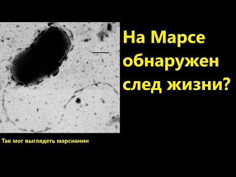 Видео: На Марсе обнаружен след жизни?