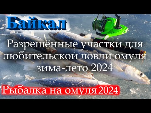 Видео: Рыбалка на омуля, разрешённые места и сроки любительского лова.