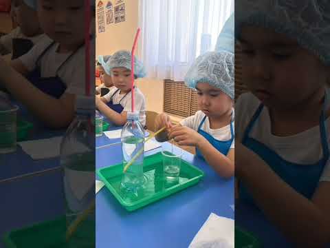 Видео: 4 ноября 2025 г.