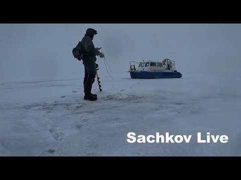 Видео: Нашли окуня!!!Рыбинское водохранилище. Часть 2 .found a perch.Rybinsk reservoir.Part 2