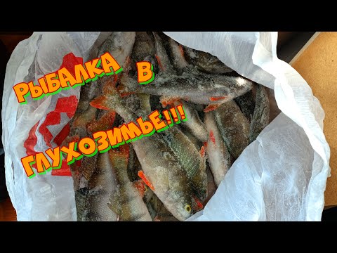 Видео: Не плохая рыбалка в глухозимье!!! Ловля окуня в не погоду. Зимняя рыбалка