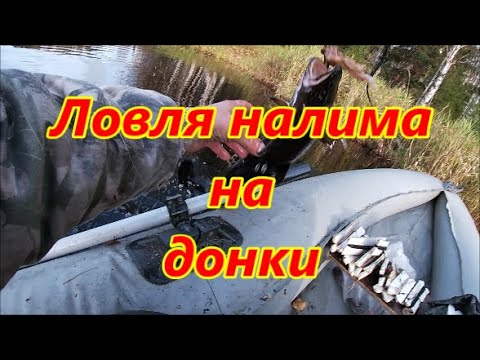 Видео: Ловля налима на донки