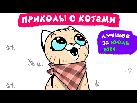 Видео: Приколы с котами. ЛУЧШЕЕ ЗА ИЮЛЬ 2021 | Мемозг