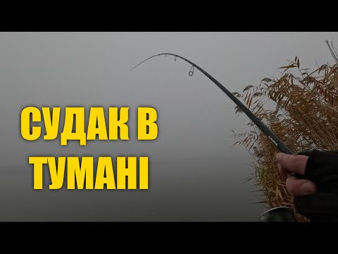 Видео: СУДАК В ТУМАНІ 🎣 РИБОЛОВЛЯ В ЛИСТОПАДІ 