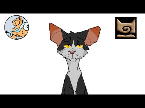 Видео: ИСТОРИЯ ЗВЕЗДНОГО ЛУЧА - КОТЫ-ВОИТЕЛИ