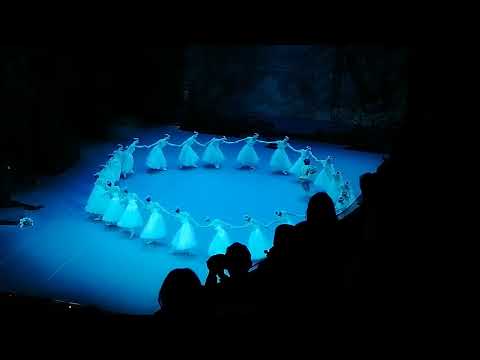 Видео: Жизель 4 ноября 2025