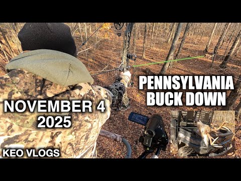 Видео: Самостоятельно снятый Биг Вудс Пенсильвания Бак Даун