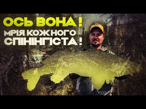 Видео: Покльовка десятиріччя. СУДАКИ-МОНСТРИ в Києві є!