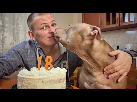 Видео: 18 мне уже 🥳 🎂 У Джины течка. Отвечаю на два ваших вопроса. Приготовил на весь подъезд 😁