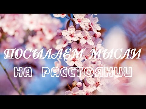 Видео: Посылаем МЫСЛИ НА РАССТОЯНИИ (Эксперимент №8)