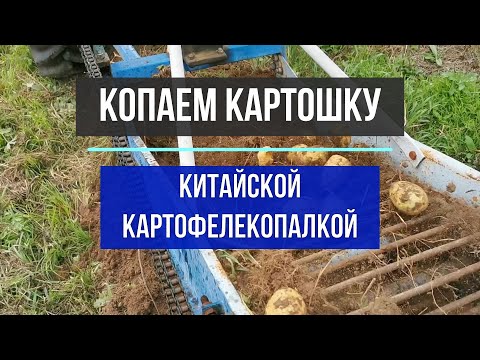 Видео: Копаем картошку китайской картофелекопалкой
