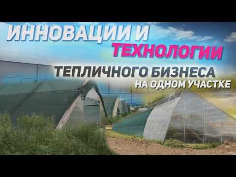 Видео: Все типы фермерских теплиц на одном участке-Родинний добробут:  Вегетарии, Термосы, Блочные и проч.
