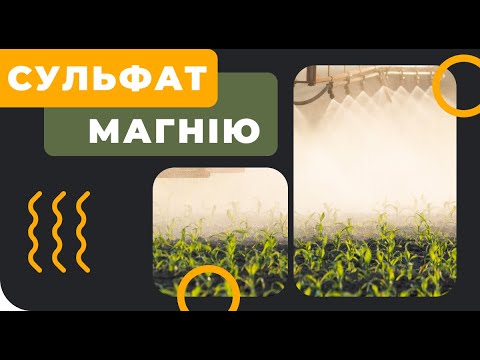 Видео: Сульфат магнію (MgSO4)