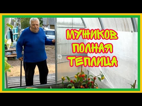 Видео: 3/9 24 ПОДРУЖКА ОЧУХАЛАСЬ. ДЕМБЕЛЬ ПЕРЦАМ И ПОМИДОРАМ. ПОПРОШАЙКАМ БОГ ПОДАСТ. ЕЩЕ ОДИН РУБЕЖ.