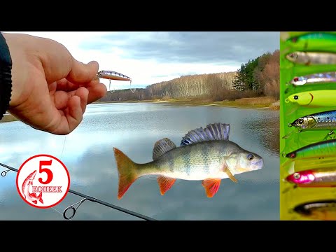 Видео: Как поймать крупного окуня на спиннинг? Рыбалка  на красивом и уютном озере. Воблер на окуня и щуку!