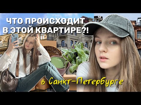Видео: я переехала и обустраиваю КВАРТИРУ МЕЧТЫ 🏡✨
