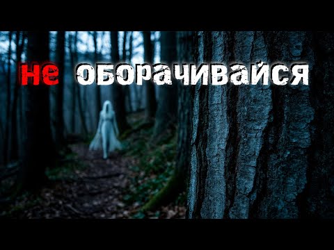 Видео: Не сходи с тропы Лес, который НЕ хочет, чтобы его нашли. Страшные истории