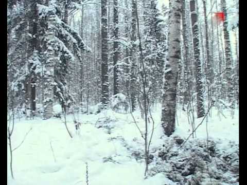 Видео: Следопыт с Глебом Данильцевым. Часть 10