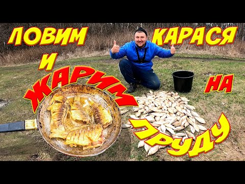 Видео: НА ЗАБРОШЕНОМ ПРУДУ ВЕДРО КАРАСЯ НА ФИДЕР!