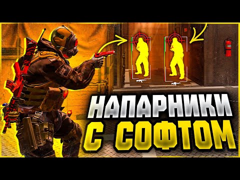 Видео: НАПАРНИКИ С ЧИТАМИ — МЕДАЛЬ ЗА 2025 (CS2)