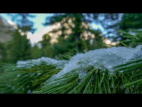 Видео: Актру 2023 июнь-июль