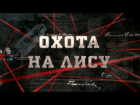 Видео: Охота на лису | Вещдок