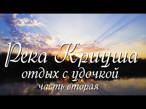 Видео: Река Криуша  часть вторая