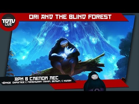 Видео: Ари В Слепой Лес - Великий Сов! #2