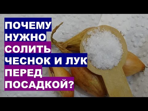 Видео: ПОЧЕМУ МЫ СОЛИМ ЛУК и ЧЕСНОК перед посадкой?