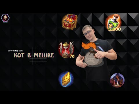 Видео: Кот в мешке Vikings: war of clans