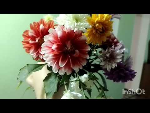 Видео: Заради таких моментів варто жити...