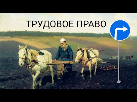 Видео: Трудовое право. Трудовые правоотношения. Трудовой договор. [Обществознание 10 класс]