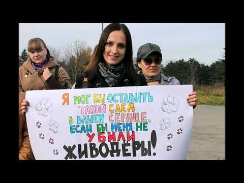 Видео: Закон нужен сейчас