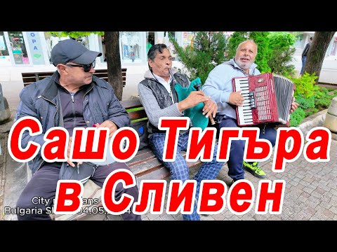 Видео: 🇧🇬 Сашо Тигъра и неговата група. Политика и музика! #sliven #sashotigara #сашотигъра #pitarfoto