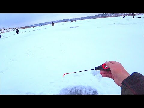 Видео: ПЕРВЫЙ ЛЁД 2024-25!!! НАРОД ПРЁТ и РЫБ КЛЮЁТ)))