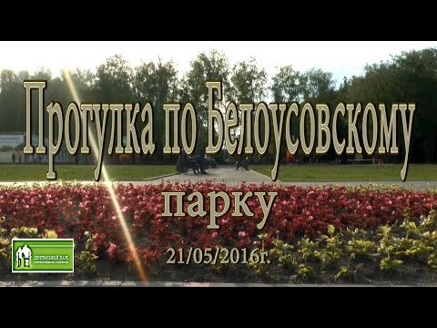 Видео: ПРОГУЛКА ПО БЕЛОУСОВСКОМУ ПАРКУ г  ТУЛА 2016г.