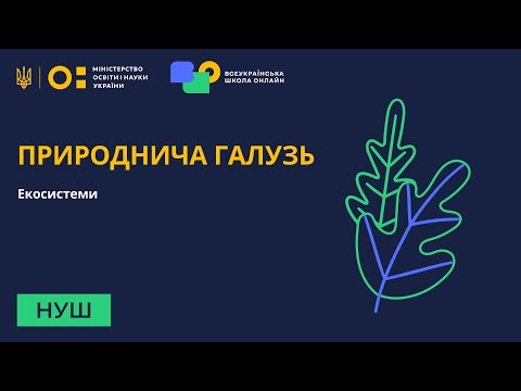 Видео: Природнича галузь. Екосистеми