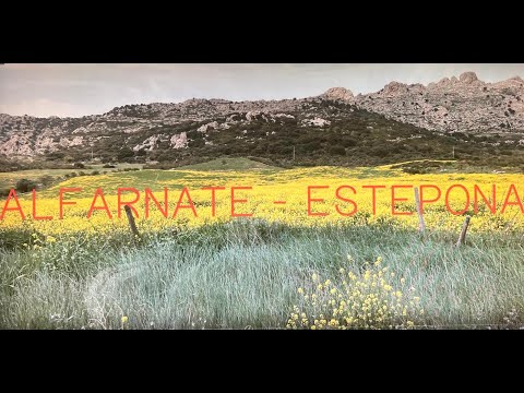 Видео: Путешествия по Испании- Альфарнате и Эстепона- Alfarnate y Estepona юг Испании провинция Малага