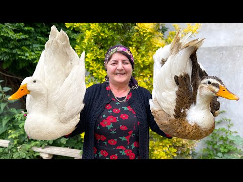 Видео: Плов из Цельной Утки - Такого Вкусного и Умопомрачительного Рецепта Вы Еще Не Видели!