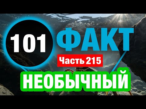 Видео: 101 Сенсационный Факт Который Вас Удивит
