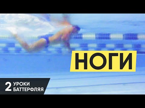 Видео: КАК НЕ УСТАВАТЬ, ПЛАВАЯ БАТТЕРФЛЯЕМ? УРОКИ БАТТЕРФЛЯЯ. УРОК 2 @ Swimmate.ru