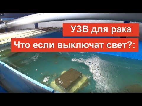 Видео: УЗВ для рака. Что если выключат свет? #3