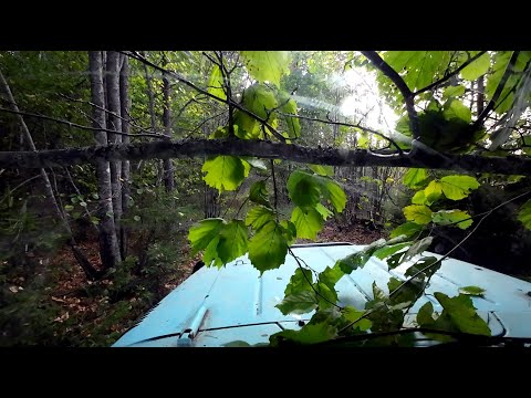 Видео: Прогулка на Уазике, веткоотбойники и зеркала